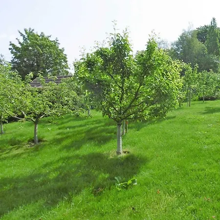 Ruegen_fewo 144 Lejlighed Bergen Auf Rugen